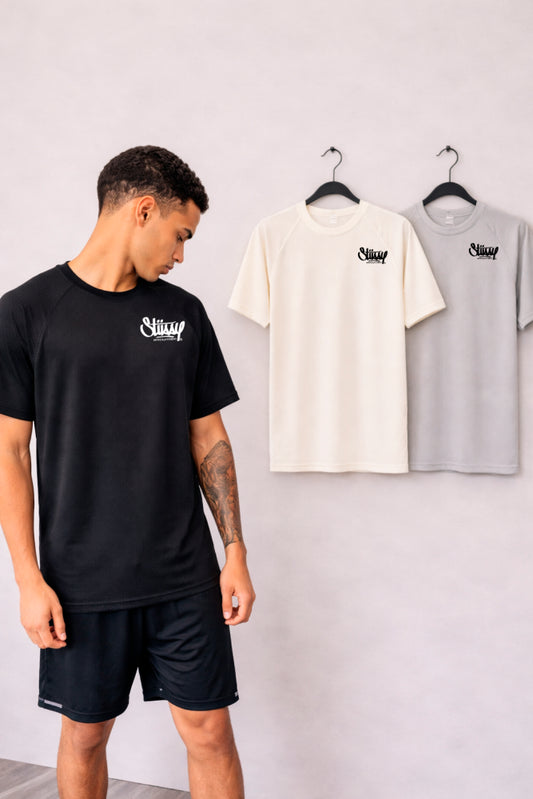 Camisa Dryfit Raglan Stussy Tk